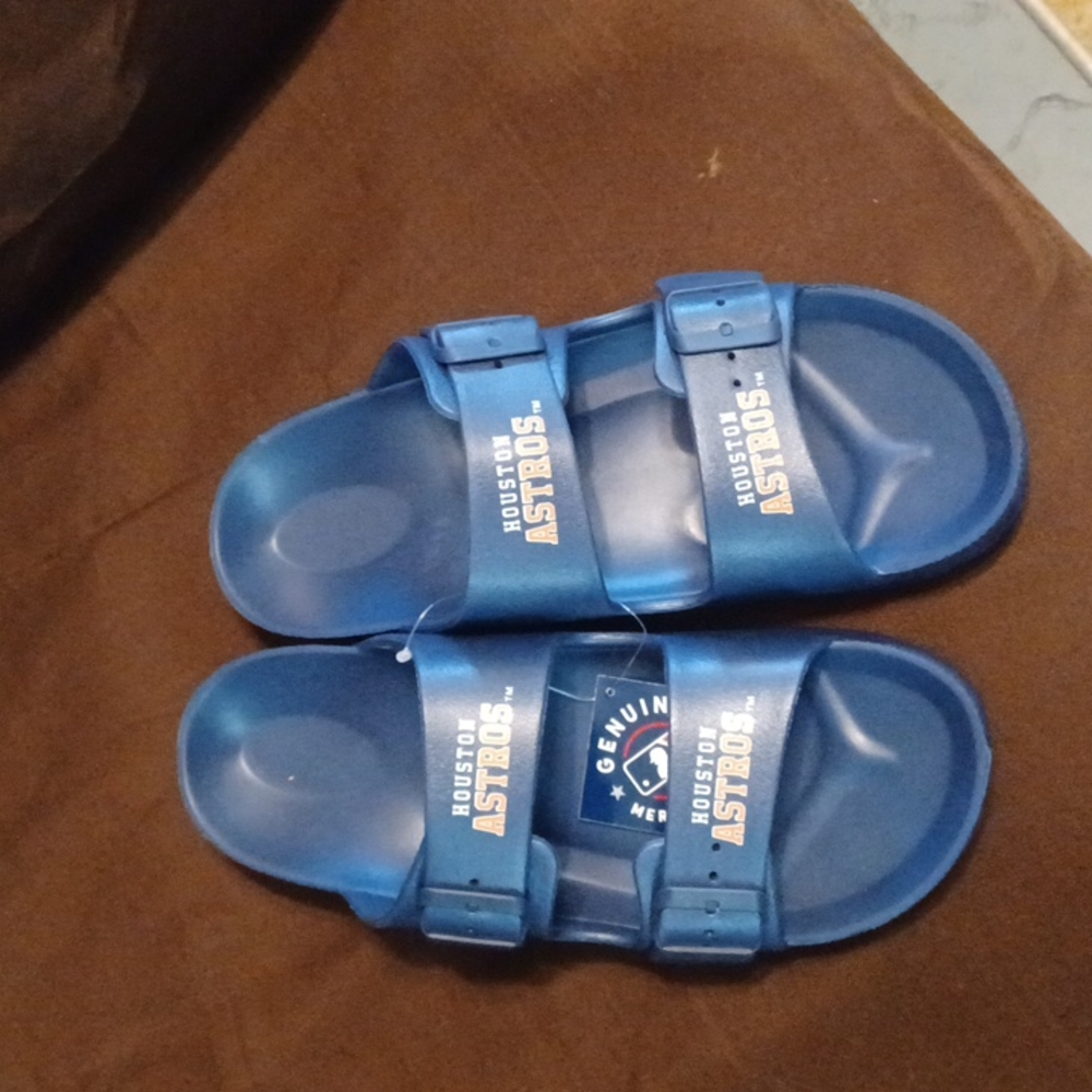 Astro Slides
